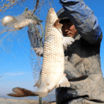 China_s_Fishing_Communities_Navigate_Modern_Maritime_Ambitions