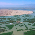 China_s_Tengger_Desert_Transformed__Straw_Grids_Spark_Green_Revolution video poster