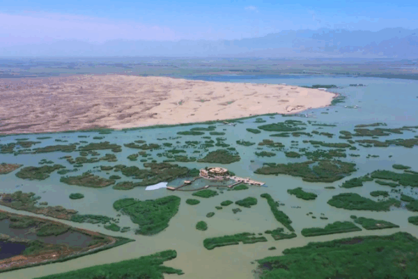 China’s Tengger Desert Transformed: Straw Grids Spark Green Revolution China_s_Tengger_Desert_Transformed__Straw_Grids_Spark_Green_Revolution video poster