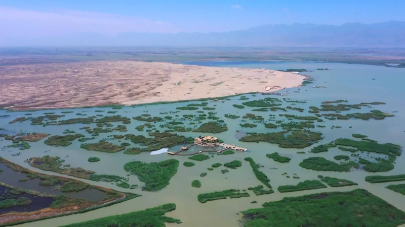 China_s_Tengger_Desert_Transformed__Straw_Grids_Spark_Green_Revolution video poster