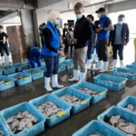 China_to_Resume_Japanese_Seafood_Imports_with_Strict_Safety_Measures - Khabar Asia China_to_Resume_Japanese_Seafood_Imports_with_Strict_Safety_Measures