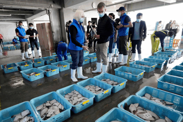 China to Resume Japanese Seafood Imports with Strict Safety Measures China_to_Resume_Japanese_Seafood_Imports_with_Strict_Safety_Measures