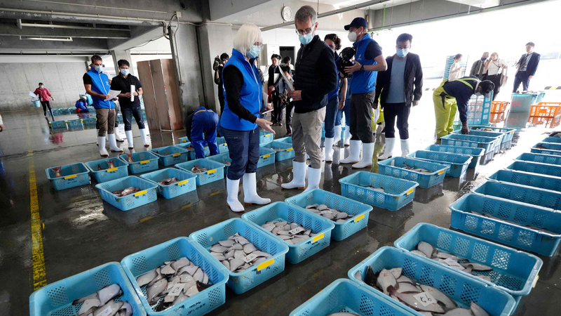 China_to_Resume_Japanese_Seafood_Imports_with_Strict_Safety_Measures