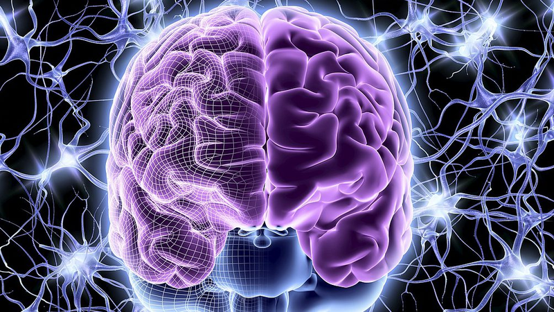 Chinese_Breakthrough__Hydrogel_Therapy_Advances_Brain_Injury_Treatment - Khabar Asia Chinese_Breakthrough__Hydrogel_Therapy_Advances_Brain_Injury_Treatment