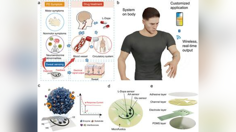 Chinese Scientists Develop Wearable Patch for Early Parkinson’s Detection Chinese_Scientists_Develop_Wearable_Patch_for_Early_Parkinson_s_Detection