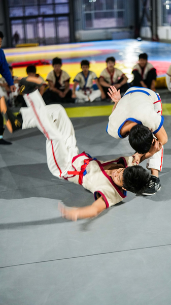 Chinese Wrestling: Ancient Art of Leverage Thrives in Modern Era Chinese_Wrestling__Ancient_Art_of_Leverage_Thrives_in_Modern_Era video poster