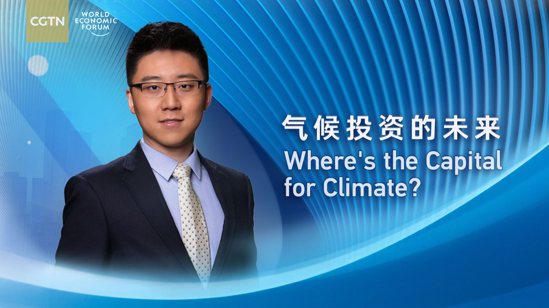 Climate Finance Gap: Can Public-Private Partnerships Bridge the Divide? Climate_Finance_Gap__Can_Public_Private_Partnerships_Bridge_the_Divide_ video poster