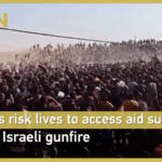 Gazans_Brave_Israeli_Gunfire_to_Access_Vital_Aid_Supplies video poster