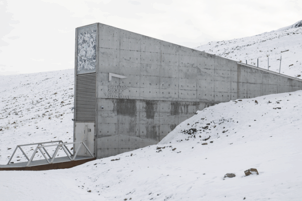 Global Seed Vault Safeguards 11,000+ New Crop Samples for Future Food Security Global_Seed_Vault_Safeguards_11_000__New_Crop_Samples_for_Future_Food_Security