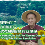 Guangzhou_s_High_Tech_Farms_Lead_Agricultural_Revolution_poster - Khabar Asia Guangzhou_s_High_Tech_Farms_Lead_Agricultural_Revolution video poster