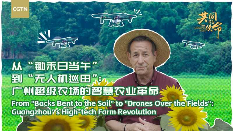 Guangzhou_s_High_Tech_Farms_Lead_Agricultural_Revolution_poster - Khabar Asia Guangzhou_s_High_Tech_Farms_Lead_Agricultural_Revolution video poster