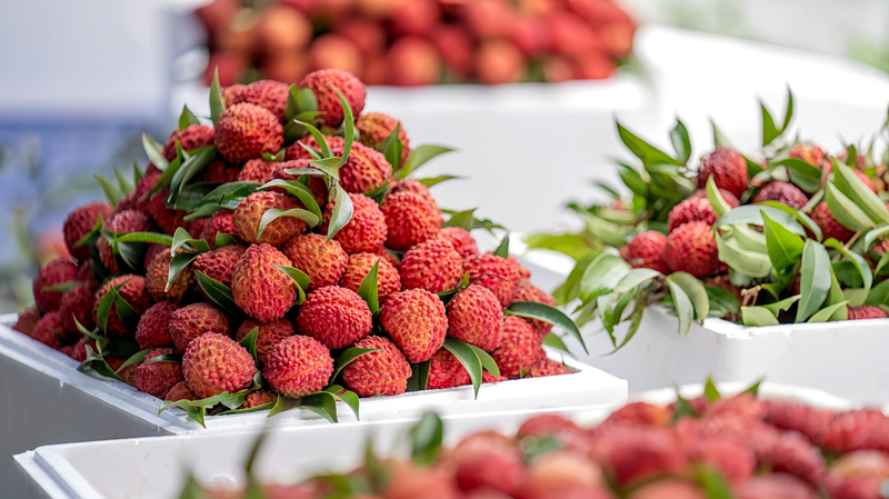 Haikou_s_Volcanic_Lychees_Boost_Rural_Revitalization_in_Hainan