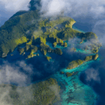 Indonesia_Launches_Coral_Reef_Bond_to_Fund_Marine_Conservation