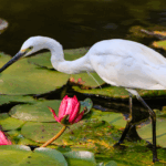 Kunming_s_Daguan_Park__A_Natural_Oasis_Blending_Biodiversity_and_Heritage - Khabar Asia Kunming_s_Daguan_Park__A_Natural_Oasis_Blending_Biodiversity_and_Heritage