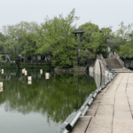 Xixi Wetland: Hangzhou’s 4,000-Year-Old Natural & Cultural Gem