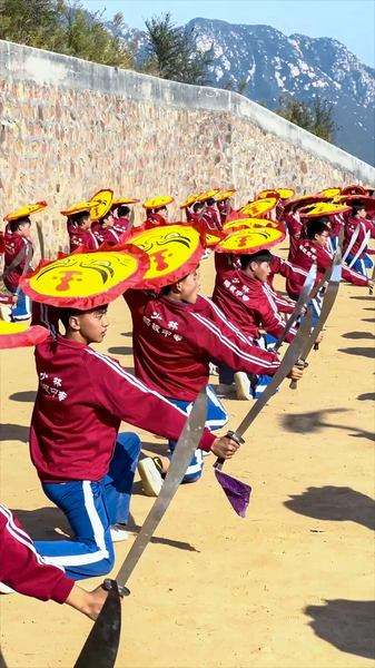 Martial_Arts_Schools_in_Henan_Shape_Body_and_Spirit video poster