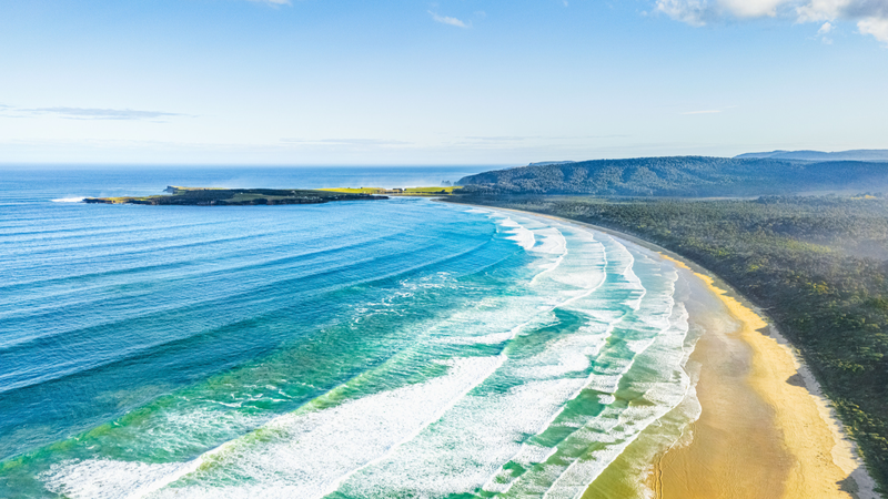 New_Zealand_Eases_Entry_for_Chinese_Travelers__Highlights_The_Catlins__Beauty - Khabar Asia New_Zealand_Eases_Entry_for_Chinese_Travelers__Highlights_The_Catlins__Beauty
