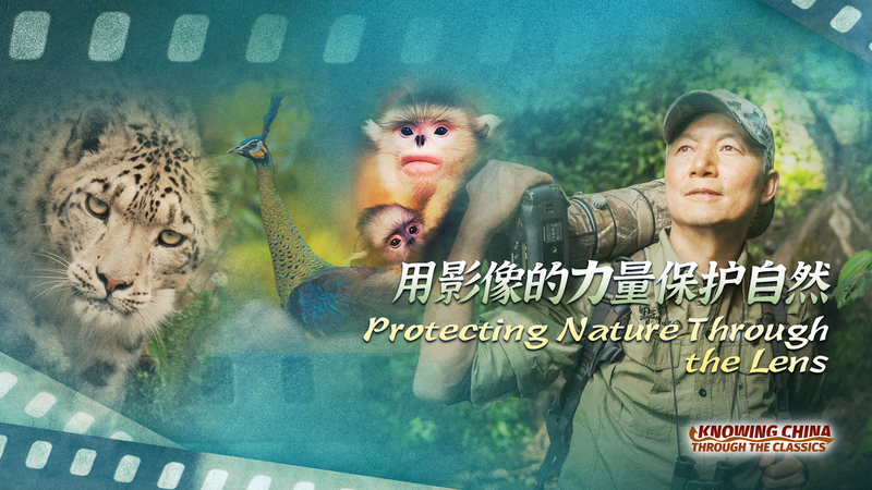 OJX2QE2VX3WHGALN6FTT - Khabar Asia Xi Zhinong: Capturing China’s Biodiversity Through the Lens video poster