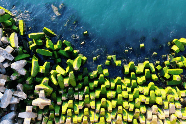 Qingdao Breakwater Turns Green as Algae Blooms in Summer Heat Qingdao_Breakwater_Turns_Green_as_Algae_Blooms_in_Summer_Heat
