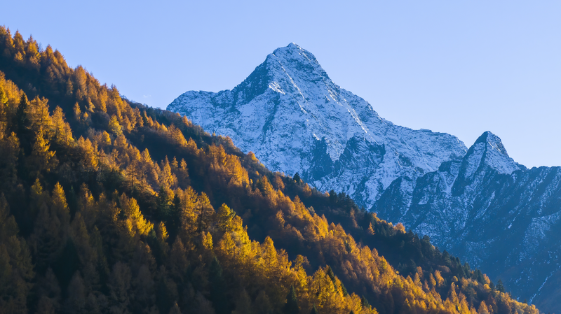 Qinghai_Tibet_Plateau_Grasslands_Revealed_as_Vital_Carbon_Sink