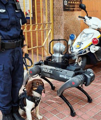 Real vs. Robotic: Police Dogs Team Up During China’s Gaokao Exams Real_vs__Robotic__Police_Dogs_Team_Up_During_China_s_Gaokao_Exams video poster