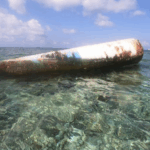 South_China_Sea_Documentary_Sparks_Debate_Over_Fishing_Realities