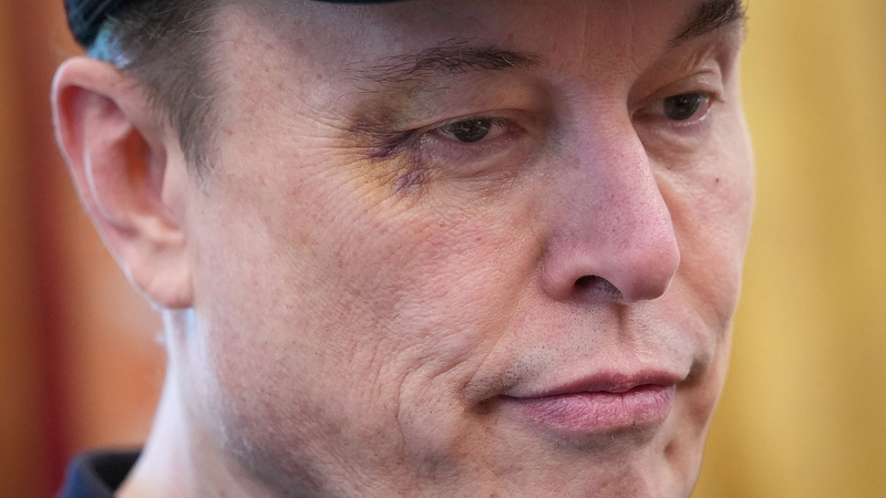 Tesla_s__25K_EV_Controversy__Executives_Question_Musk_s_Denial__Sources_Reveal