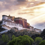 Tibetan_Women_Redefine_Resilience_in_New_Documentary video poster