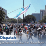 US__No_Kings__Protests_Highlight_Global_Tensions_Over_Immigration_Policies_poster - Khabar Asia US__No_Kings__Protests_Highlight_Global_Tensions_Over_Immigration_Policies video poster