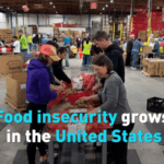 U_S__Food_Insecurity_Rises_Amid_Inflation_and_Policy_Shifts_poster - Khabar Asia U_S__Food_Insecurity_Rises_Amid_Inflation_and_Policy_Shifts video poster