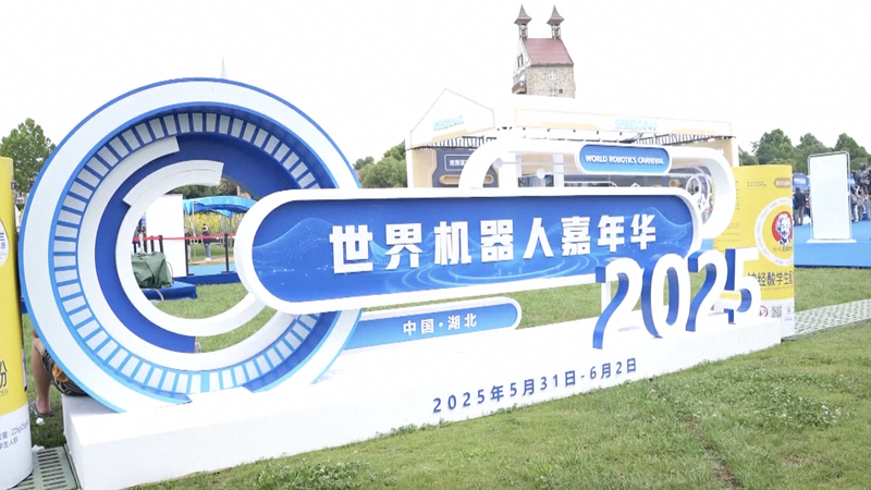 Wuhan_s_2025_Robotics_Carnival_Unveils_Future_Tech_Innovations video poster