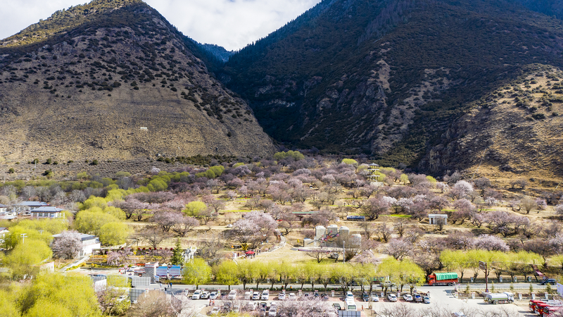 Xi Jinping Stresses Ethnic Solidarity in Xizang Village Engagement Xi_Jinping_Stresses_Ethnic_Solidarity_in_Xizang_Village_Engagement