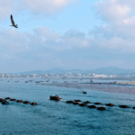 Xi_Jinping_s_Vision__China_s_Maritime_Powerhouse_Strategy_Unveiled