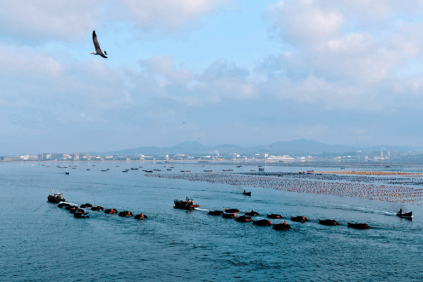 Xi Jinping’s Vision: China’s Maritime Powerhouse Strategy Unveiled Xi_Jinping_s_Vision__China_s_Maritime_Powerhouse_Strategy_Unveiled