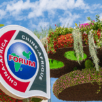 Xi__Congo_Leader_Hail_Progress_at_China_Africa_Forum_Meeting - Khabar Asia Xi__Congo_Leader_Hail_Progress_at_China_Africa_Forum_Meeting