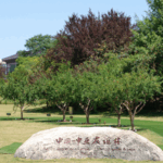 Xi_an_s_Pomegranate_Trees__A_Symbol_of_China_Central_Asia_Unity_poster - Khabar Asia Xi_an_s_Pomegranate_Trees__A_Symbol_of_China_Central_Asia_Unity video poster