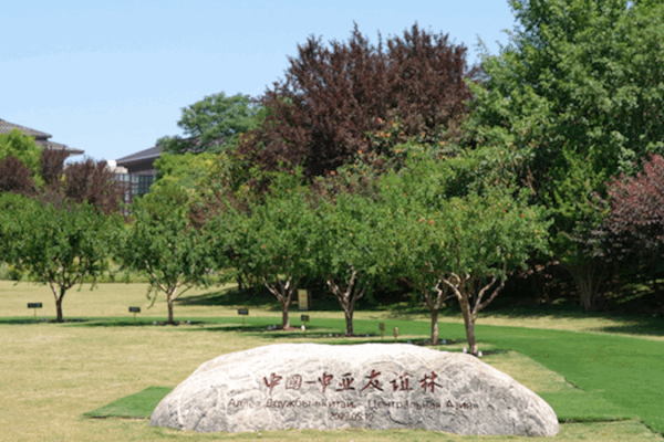 Xi’an’s Pomegranate Trees: A Symbol of China-Central Asia Unity Xi_an_s_Pomegranate_Trees__A_Symbol_of_China_Central_Asia_Unity video poster