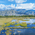 Xizang_s_Eco_Environment_Thrives_in_2024__Report_Shows - Khabar Asia Xizang_s_Eco_Environment_Thrives_in_2024__Report_Shows