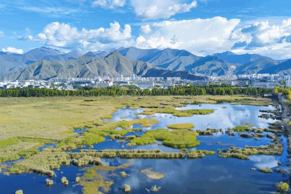 Xizang’s Eco-Environment Thrives in 2024, Report Shows Xizang_s_Eco_Environment_Thrives_in_2024__Report_Shows