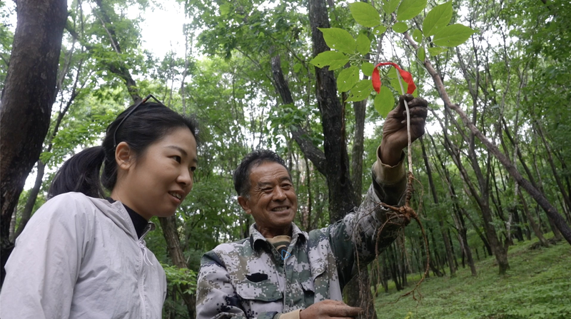 Ji’an’s Rural Revival: Blueprint for Sustainable Growth in Asia Ji'an’s Rural Revival: Blueprint for Sustainable Growth in Asia video poster