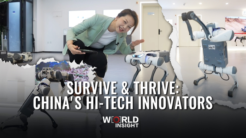 China’s Tech Innovators Lead Global Robotics and Brain-Computer Breakthroughs China’s Tech Innovators Lead Global Robotics and Brain-Computer Breakthroughs video poster