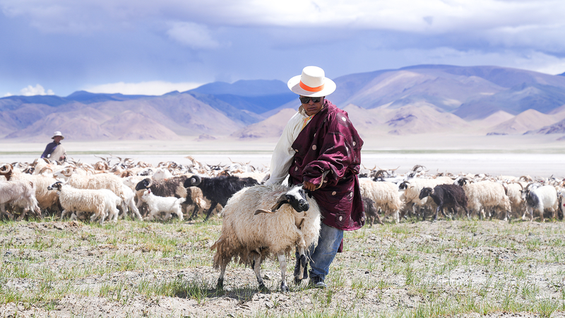 Ancient ‘Salt-and-Sheep Route’ Revives Local Economy in Xizang Ancient__Salt_and_Sheep_Route__Revives_Local_Economy_in_Xizang