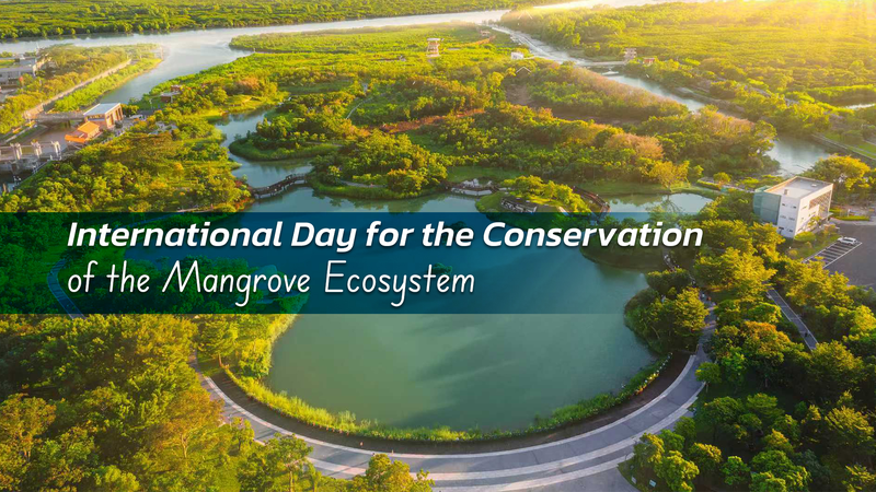 Asia’s Mangroves: Guardians of Coastal Resilience and Climate Action Asia_s_Mangroves__Guardians_of_Coastal_Resilience_and_Climate_Action