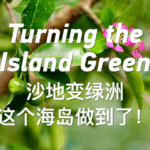 BPFI4J56FTM0DPPT14FN - Khabar Asia From Barren to Green: Yongxing Island’s Eco-Transformation in South China Sea video poster