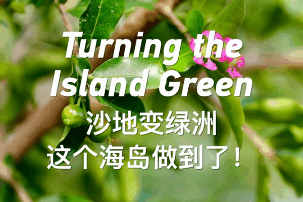 From Barren to Green: Yongxing Island’s Eco-Transformation in South China Sea From Barren to Green: Yongxing Island’s Eco-Transformation in South China Sea video poster