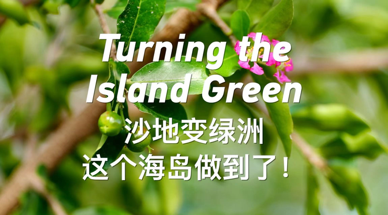 BPFI4J56FTM0DPPT14FN - Khabar Asia From Barren to Green: Yongxing Island’s Eco-Transformation in South China Sea video poster