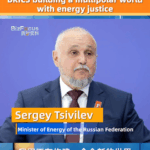 BRICS_Champions_Multipolar_World_Order__Says_Russian_Energy_Minister video poster