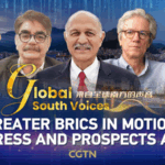 BRICS_Expansion__Shaping_a_New_Global_Economic_Order video poster