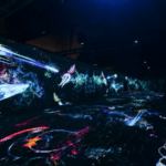 Beijing_s__Meet_the_Ocean__Exhibition_Dives_into_Marine_Conservation