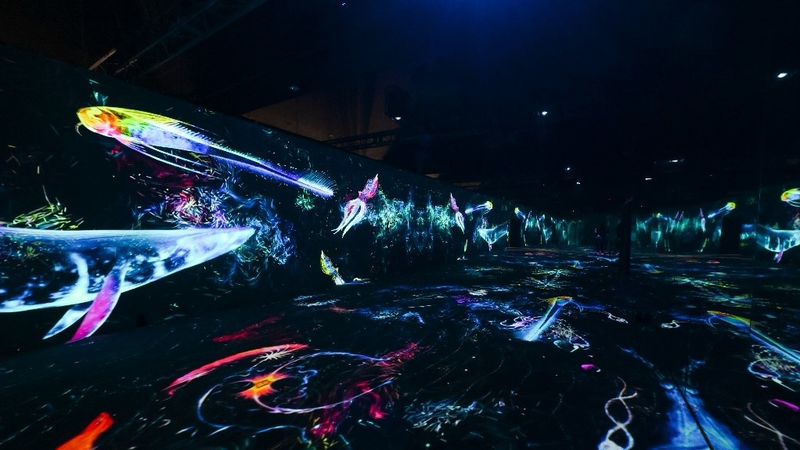 Beijing_s__Meet_the_Ocean__Exhibition_Dives_into_Marine_Conservation